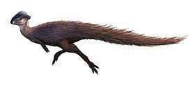 Micropachycephalosaurus - Wikipedia