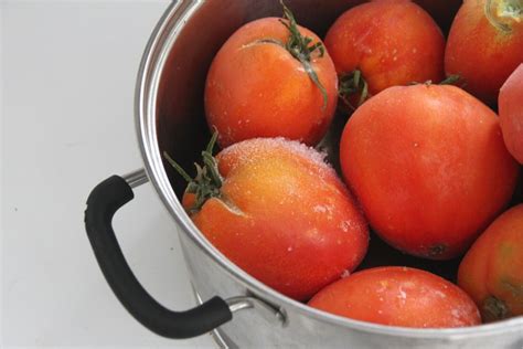 How to Make Homemade Tomato Sauce with Frozen Tomatoes • a traditional life