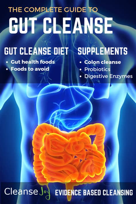 Gut Cleanse : The Complete Digestive & Gut Health Plan