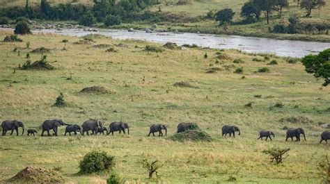 Mara River Post - Tanzania