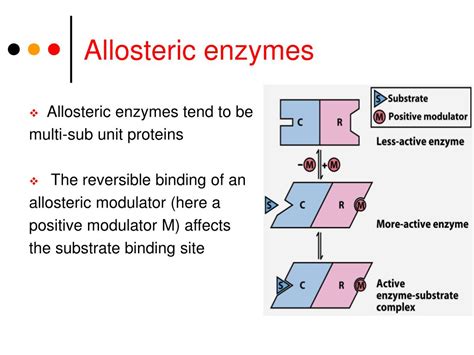 PPT - HOW ENZYMES WORK PowerPoint Presentation, free download - ID:6954410