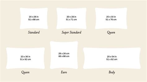 Pillow Sizes And Dimensions Guide Nectar Sleep | eduaspirant.com