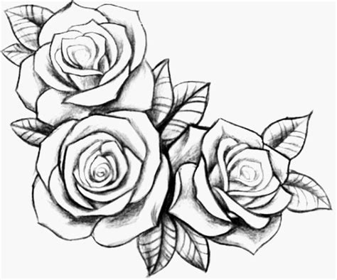 Tattoo Roses How To Draw