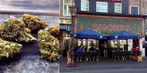 You Can No Longer Visit Weed Cafes In Amsterdam; Cannabis Tourism ...