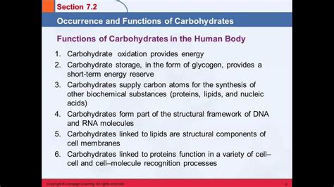 3B 7.2 Occurrence and Functions of Carbohydrates - YouTube