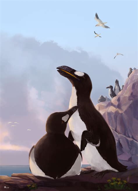 ArtStation - Great auks