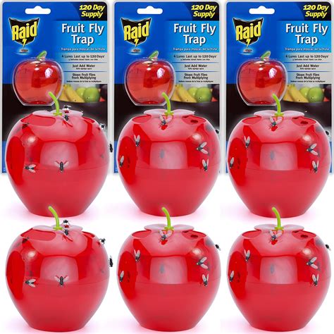 Buy Raid Fruit Fly Trap Bundle, Set of 3 2-Pack Apple Fruit Fly Catcher ...