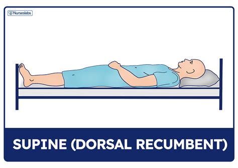 Dorsal Lithotomy Position