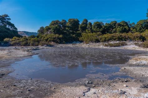 Hell S Gate Geothermal Reserve in New Zealand Stock Photo - Image of ...