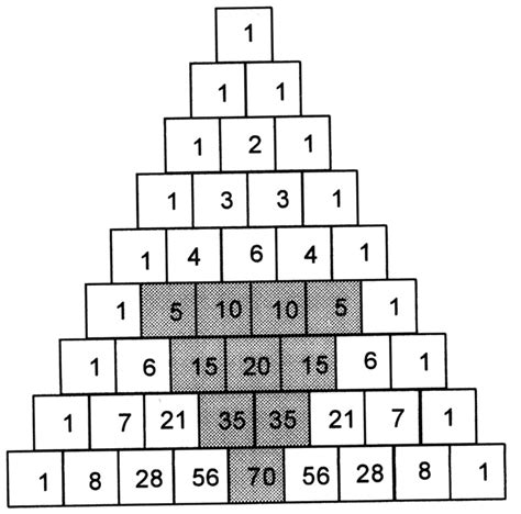 The Mathematical Tourist: Pascal's Patterns