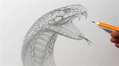 How to Draw a Snake || Pencil Drawing Tutorial - YouTube