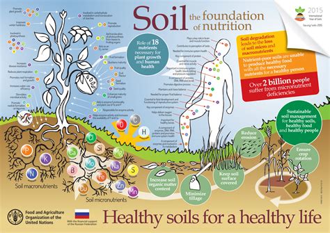 The MOST Celebrated Holiday of the Year - National Soil Health Day ...