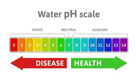 Drinking Water pH Explained: What Should Be the Ideal pH? - Perfect ...