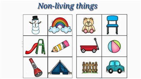 Living Things And Non Living Things Clipart