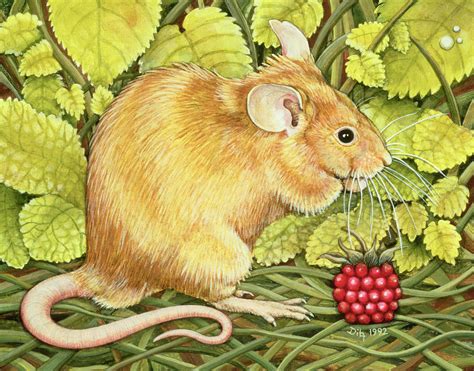 The Raspberry Mouse Painting by Ditz