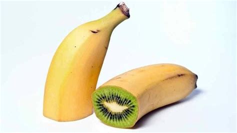 Fake News: How to Create a Hybrid Kiwi-Banana Fruit | by Isis Roque ...