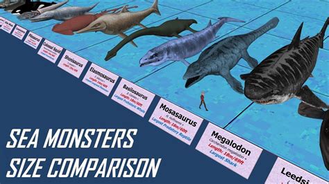 Sea Monsters Size Comparison: de grootste zeemonsters aller tijden ...