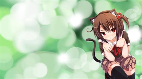 Neko Girls Full HD Wallpaper and Background Image | 1920x1080 | ID:392510