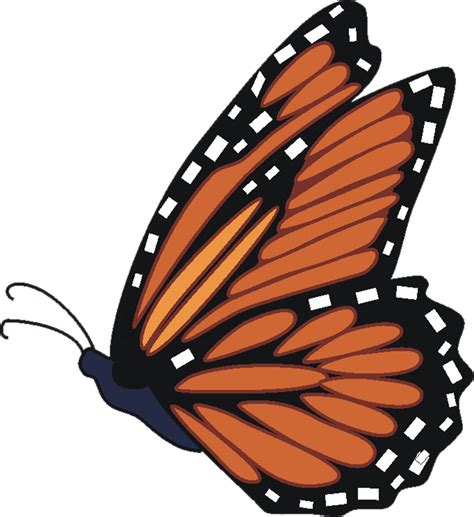 Free Butterfly Images, Download Free Clip Art, Free Clip Art on Clipart ...