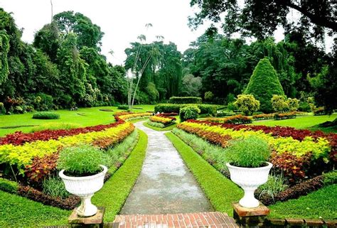 Royal Botanical Gardens, Kandy - Timings, Entry Fee, Best Time to Visit