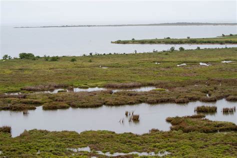 Aransas National Wildlife Refuge - Port Aransas 1streetover