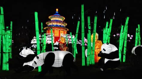 Chinese giant lanterns illuminate Edinburgh Zoo - CGTN