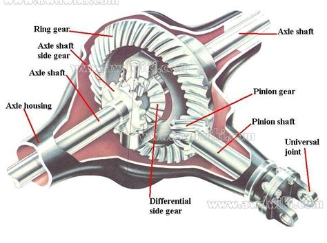 Differential | awd cars, 4x4 vehicles, 4wd trucks, 4motion, quattro ...