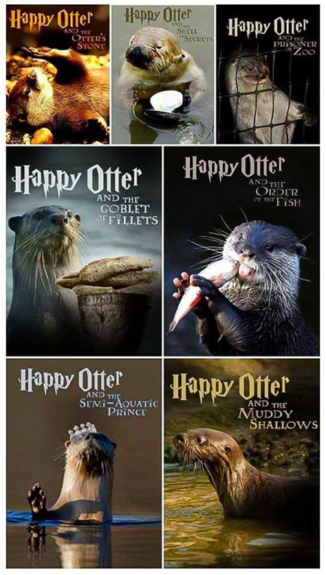 Happy Otter Meme - The Film Collection - In Otter News