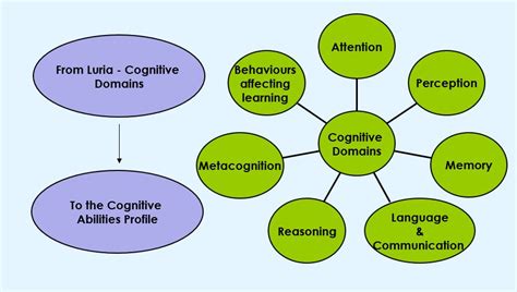 Cognitive Abilities Profile - Dynamic Assessment