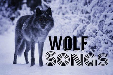 Top 10 Wolf Songs | Spinditty