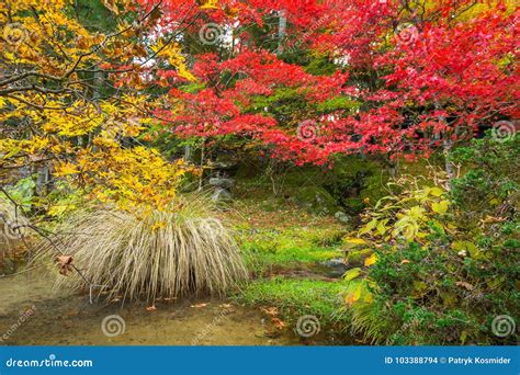 Autumnal Scenery of Nikko National Park Stock Photo - Image of autumn ...