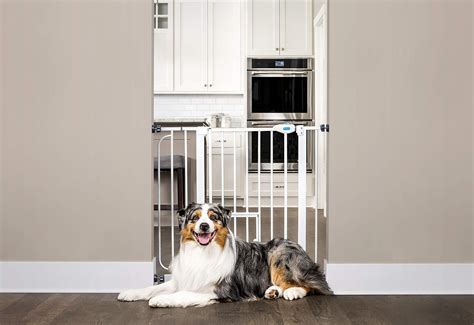 The 4 Best Indoor Dog Fences - Dogtime