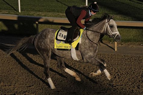 AI predicts 149th Kentucky Derby winner: Tapit Trice - lehighvalleylive.com