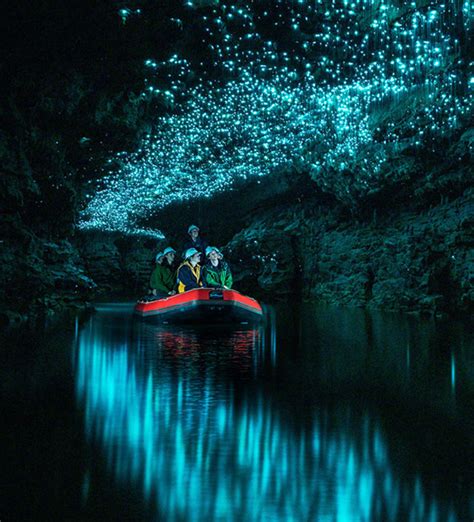 Waitomo Caves Tours NZ | Spellbound Glowworm Cave Tours