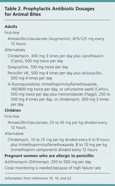 Do Dog Bites Need Antibiotics