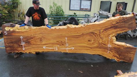 Live Edge Elm Burl & Slabs Archives - Redwood Burl Inc.