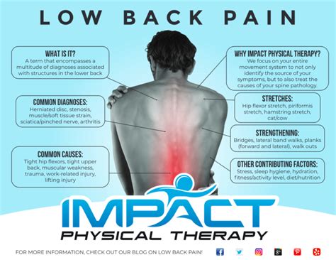 Lower Back Pain Diagnosis Chart