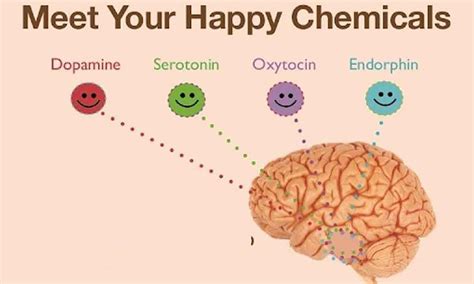 Let's hack the happy chemicals - Dopamine, Serotonin and Endorphins