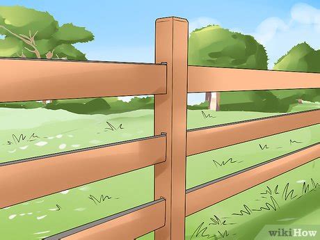 How to Care for a Miniature Horse (with Pictures) - wikiHow