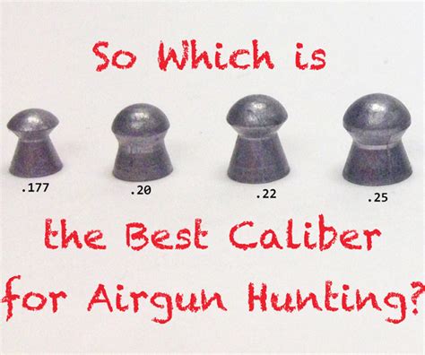 Which is the best Caliber for Airgun Hunting?