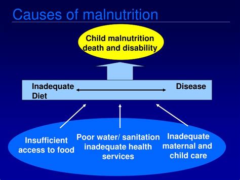 PPT - Nutrition and the Physiology of Malnutrition PowerPoint ...