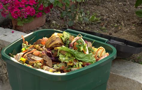 California Law Requires Organic Waste Collection to Reduce Climate Change