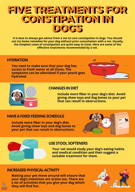 Simple Need-To-Know Guide To Constipation In Dogs | Bark For More