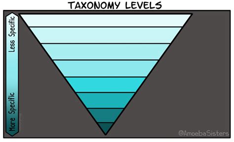 The Amoeba Sisters — What’s your favorite mnemonic for biology taxonomy ...