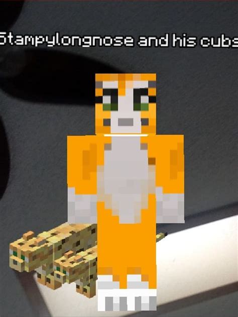 17 Best images about Stampylongnose on Pinterest | Minecraft stuff ...