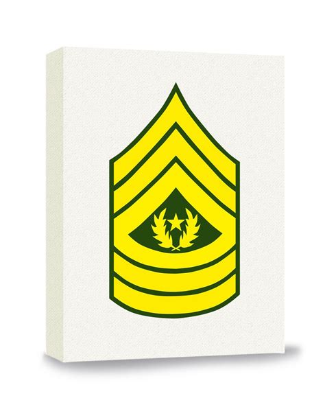 Army E9 Command Sergeant Major Rank Gallery Wrapped Canvas - Etsy