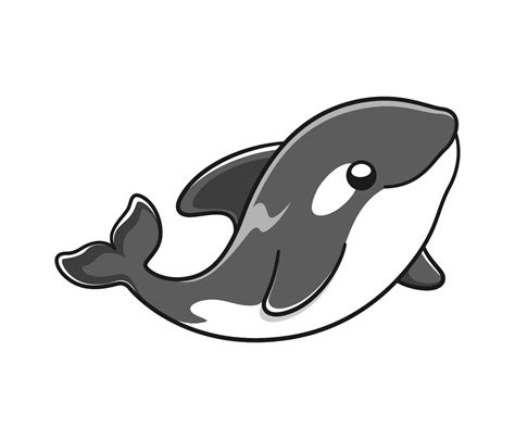 Cute Orca whale vector illustration. Killer whale cartoon clipart ...