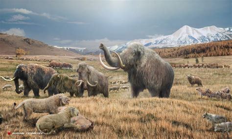 The Mammoth Steppe of Eurasia : r/Naturewasmetal