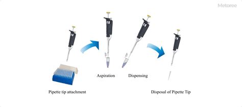 19 Pipette Tip Manufacturers in 2024 | Metoree