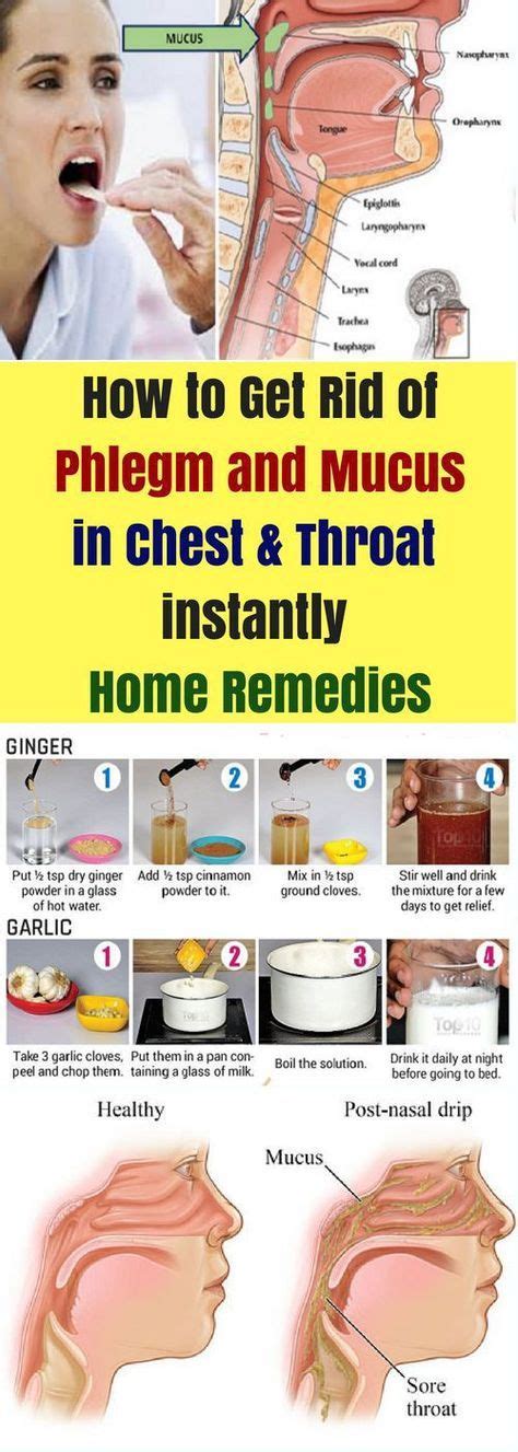 How To Get Rid Of Phlegm & Mucus In Chest & Throat Instantly. Home ...